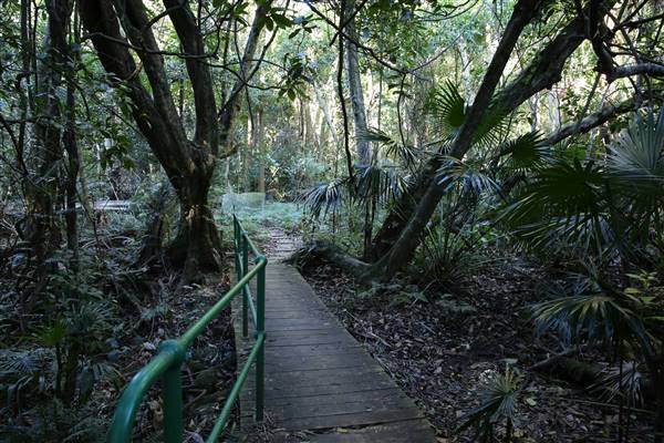 Mount Keira Scout Camp File 1 (5/07/2016)