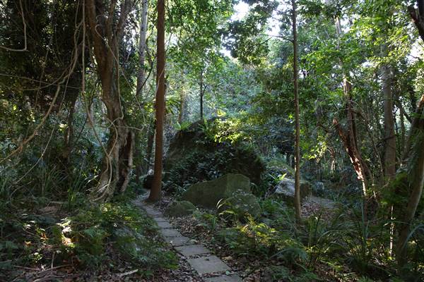 Mount Keira Scout Camp File 1 (5/07/2016)