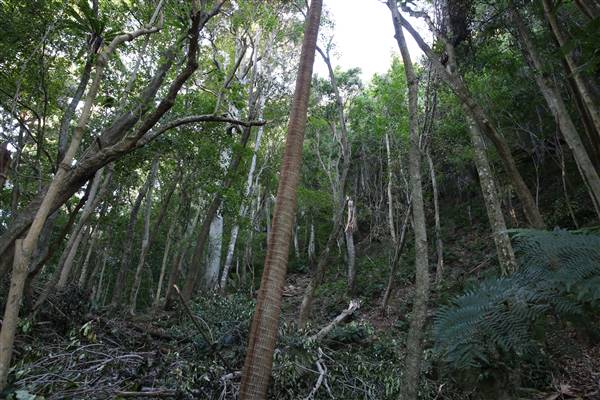 Mount Keira Scout Camp File 1 (5/07/2016)