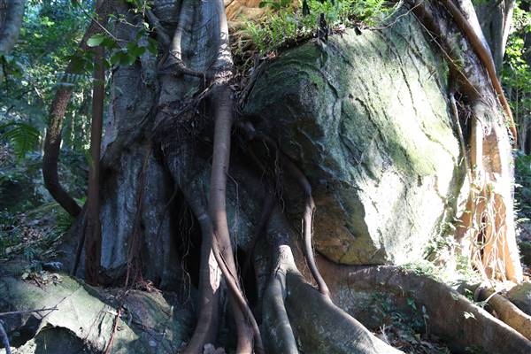 Mount Keira Scout Camp File 1 (5/07/2016)