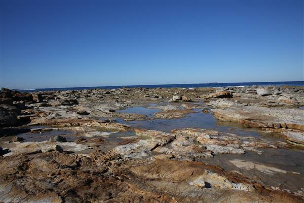 Caves Beach North (18/07/2016)