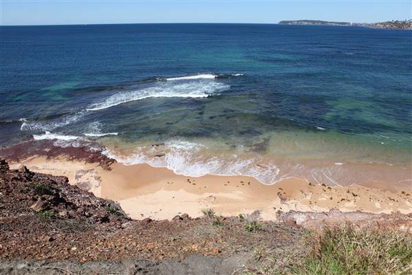 Long Reef Beach (15/10/2016 - Credits: John Harris)