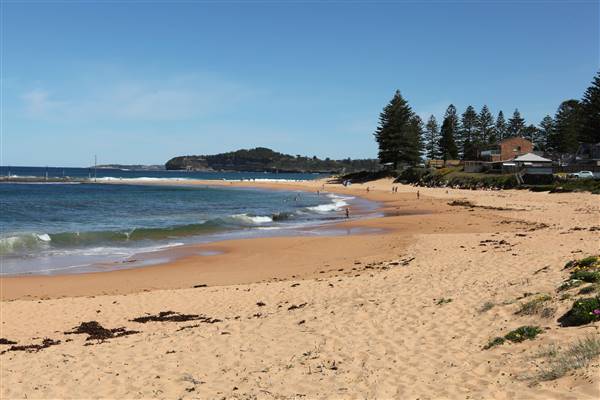 Mona Vale Beach (16/10/2016 - Credits: John Harris)