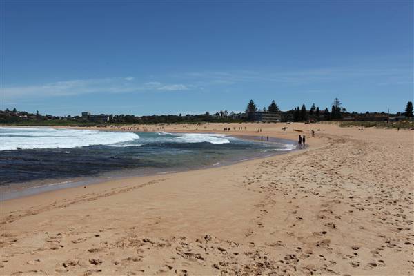 Mona Vale Beach (16/10/2016 - Credits: John Harris)
