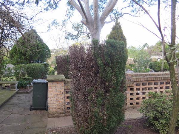 Rookwood Cemetery (10/11/2016 - Credits: Peter Hicks)