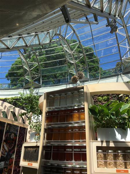 The Calyx - Royal Botanic Garden Sydney (6/11/2016 - Credits: Mechele Axford)