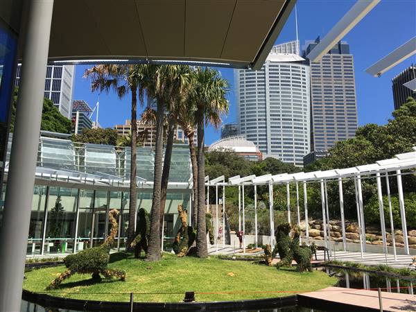 The Calyx - Royal Botanic Garden Sydney (6/11/2016 - Credits: Mechele Axford)