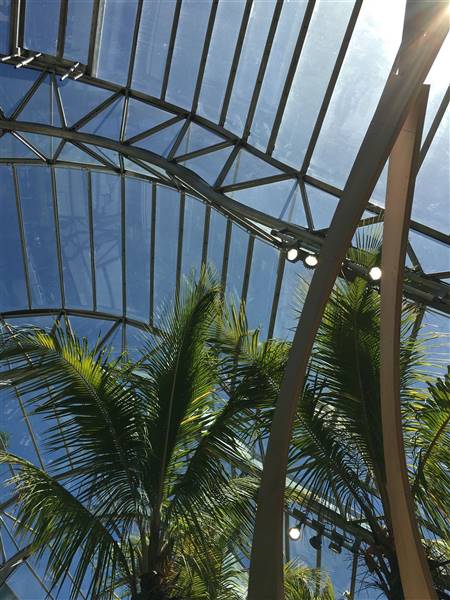 The Calyx - Royal Botanic Garden Sydney (11/11/2016)