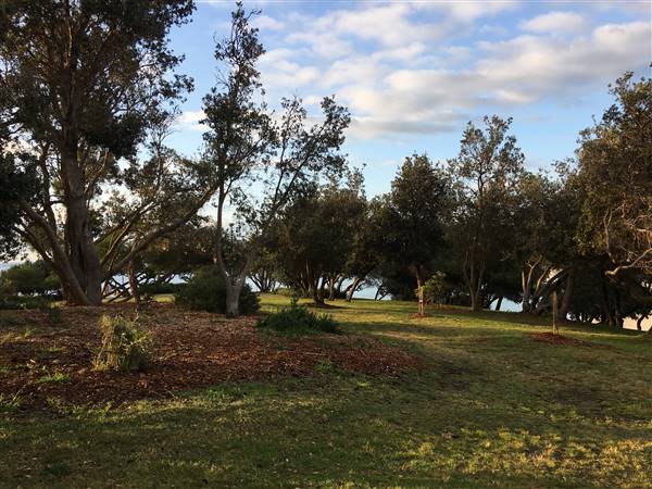 Dunningham Park Coogee (30/11/2016 - Credits: Mechele Axford)