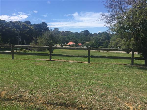 Berrima (16/02/2017 - Credits: Matt Carroll)