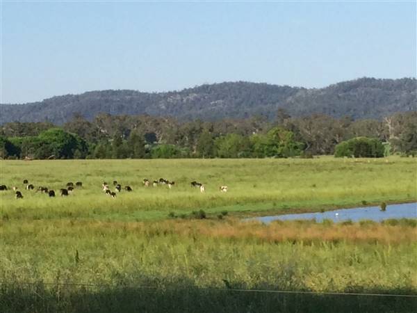 Bega Valley Area (12/07/2017)