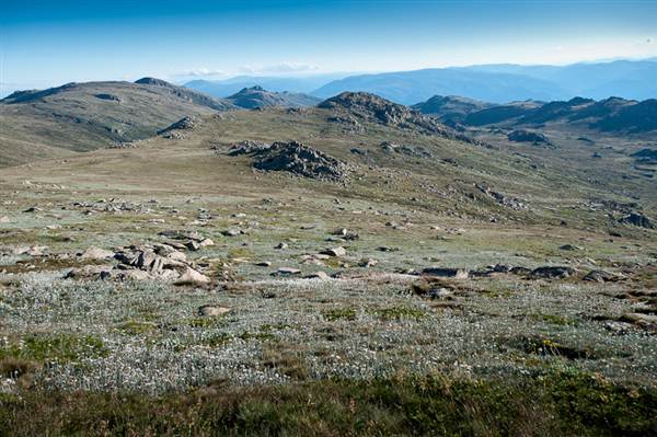 Snowy Mountains region (12/07/2017 8:28:04 PM)