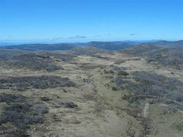 Snowy Mountains region (12/07/2017 8:28:09 PM)