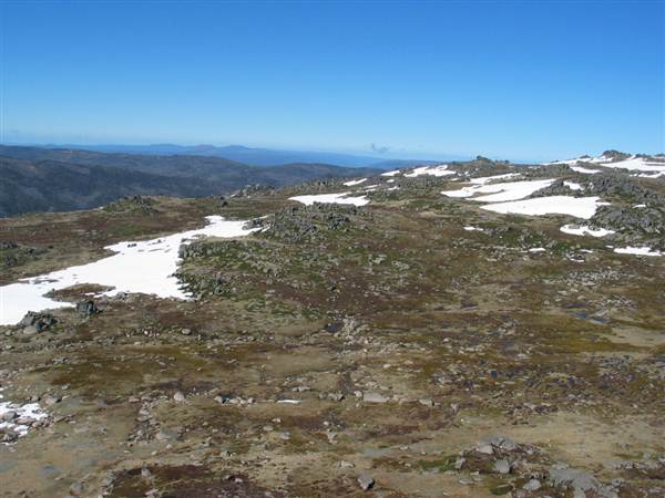Snowy Mountains region (12/07/2017 8:28:10 PM)