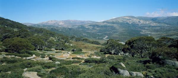 Snowy Mountains region (12/07/2017 8:28:15 PM)