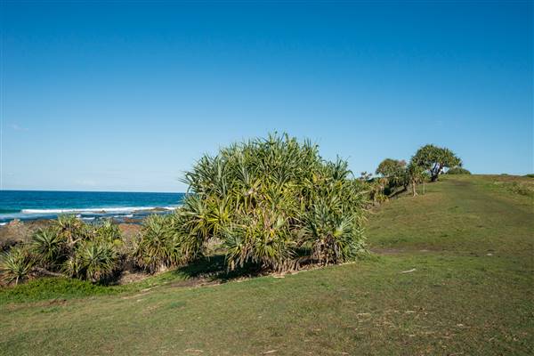 Hastings Point (26/07/2017)