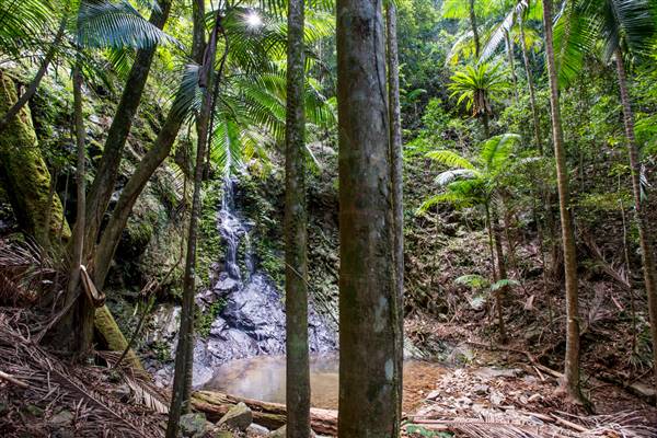 Tunsted Private Property Crystal Creek Valley (1/06/2017 - Credits: Colin McDougall)