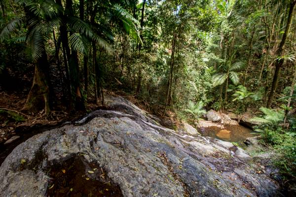 Tunsted Private Property Crystal Creek Valley (1/06/2017 - Credits: Colin McDougall)