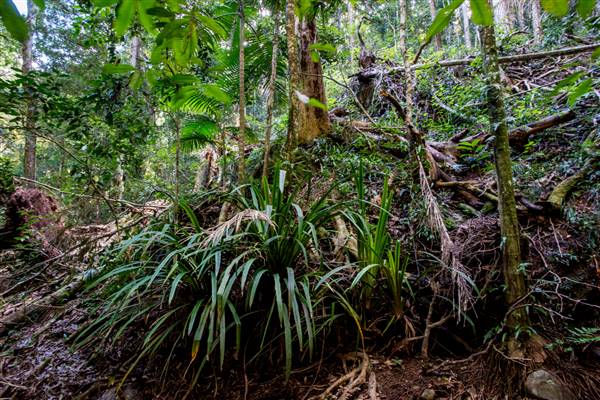 Tunsted Private Property Crystal Creek Valley (1/06/2017 - Credits: Colin McDougall)