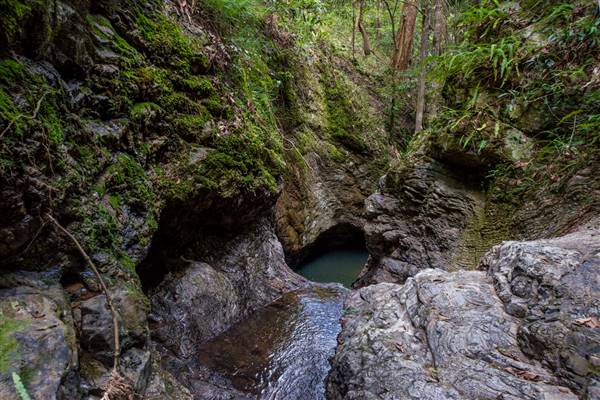 Tunsted Private Property Crystal Creek Valley (1/06/2017 - Credits: Colin McDougall)