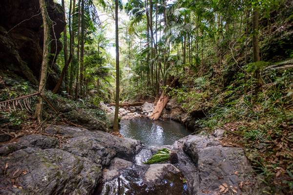 Tunsted Private Property Crystal Creek Valley (1/06/2017 - Credits: Colin McDougall)