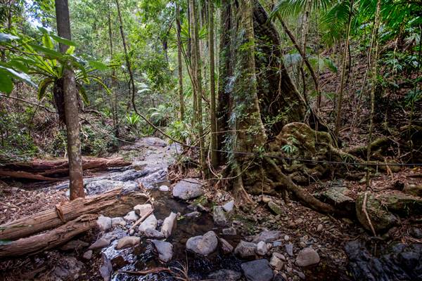 Tunsted Private Property Crystal Creek Valley (1/06/2017 - Credits: Colin McDougal)