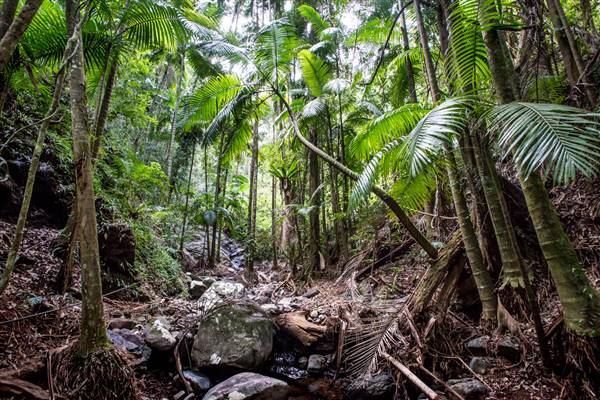 Tunsted Private Property Crystal Creek Valley (8/06/2017 - Credits: Colin McDougal)