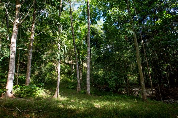 Tunsted Private Property Crystal Creek Valley (8/06/2017 - Credits: Colin McDougal)