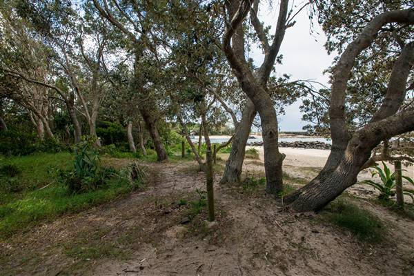 Brunswick Head Estuaries 2017 (27/07/2017 - Credits: Colin McDougall)