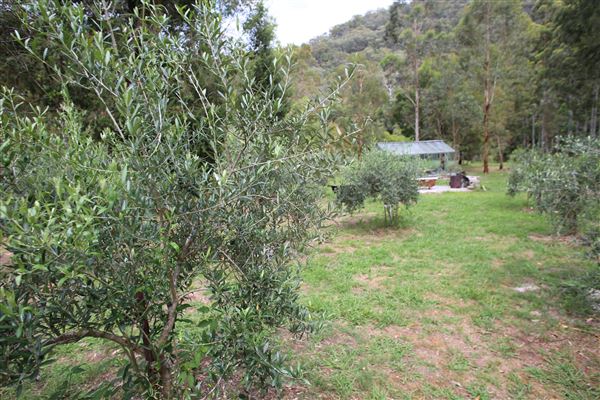 Private Property - Upper Colo (19/12/2017)