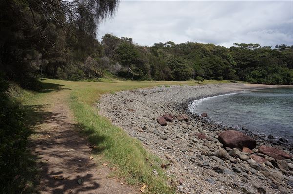 Cameron Boyd Reserve (2/02/2018 - Credits: Mary Barltrop)