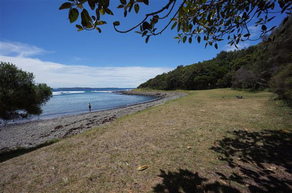 Cameron Boyd Reserve (2/02/2018 - Credits: Mary Barltrop)