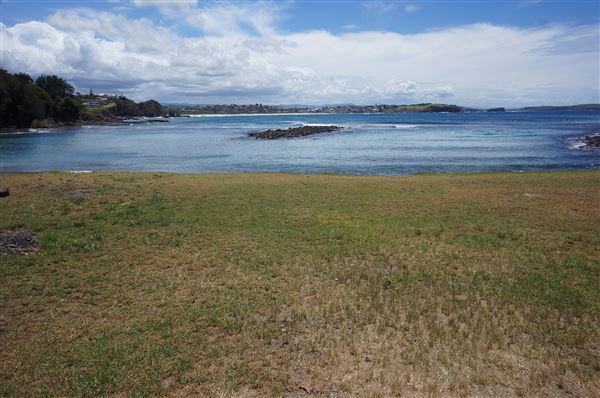 Cameron Boyd Reserve (2/02/2018 - Credits: Mary Barltrop)