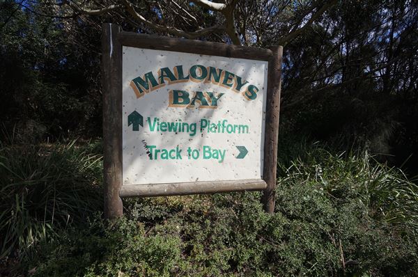 Bass Point Reserve (2/02/2018 - Credits: Mary Barltrop)
