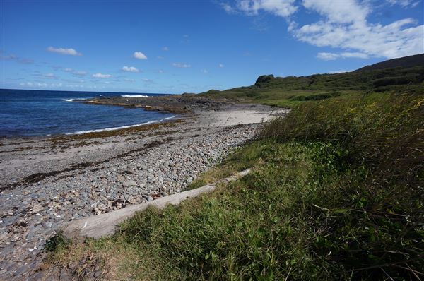 Bass Point Reserve (2/02/2018 - Credits: Mary Barltrop)