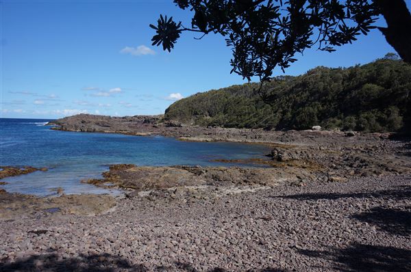 Bass Point Reserve (2/02/2018 - Credits: Mary Barltrop)