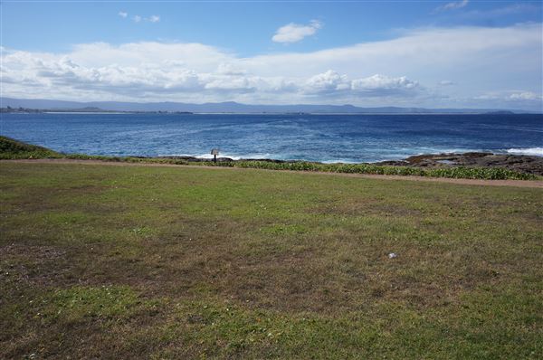 Bass Point Reserve (2/02/2018 - Credits: Mary Barltrop)