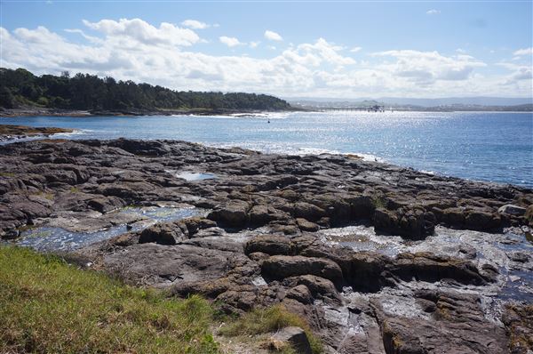 Bass Point Reserve (2/02/2018 - Credits: Mary Barltrop)