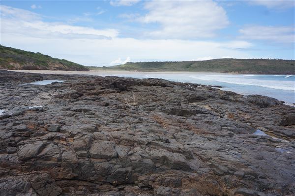 Killalea Regional Park (2/02/2018 - Credits: Mary Barltrop)