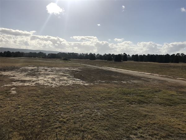 Penrith Lakes - Area 1 (8/06/2018 - Credits: Phillip Roope)