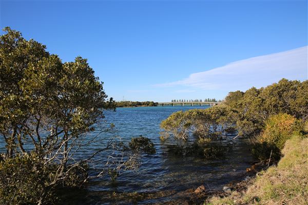Bermagui (4/08/2018 - Credits: Lisa Scope)