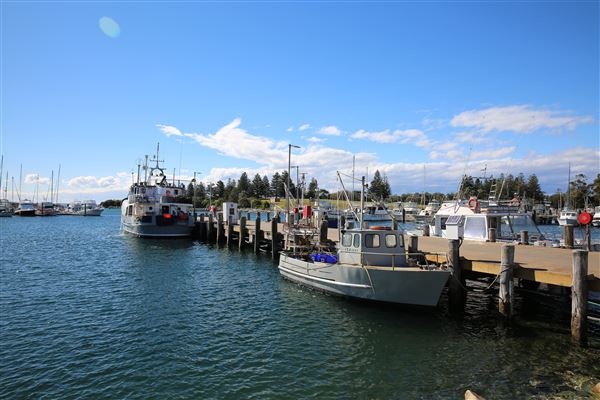 Bermagui (4/08/2018 - Credits: Lisa Scope)