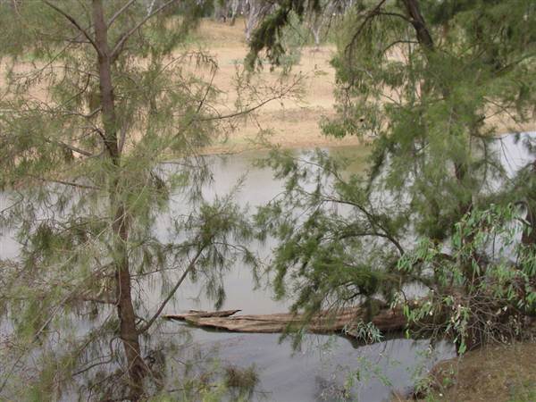 Whylandra Crossing, Dubbo (22/08/2018 10:29:41 PM)