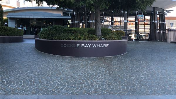 Darling Harbour (15/08/2018 - Credits: Shannon Wheeler)