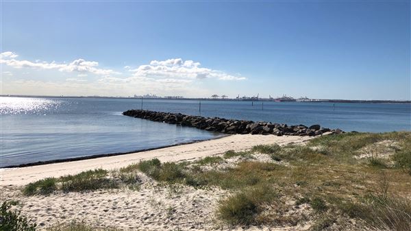 Bonna Point Reserve (23/05/2018 - Credits: Shannon Wheeler)