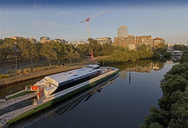 Parramatta (8/07/2015)