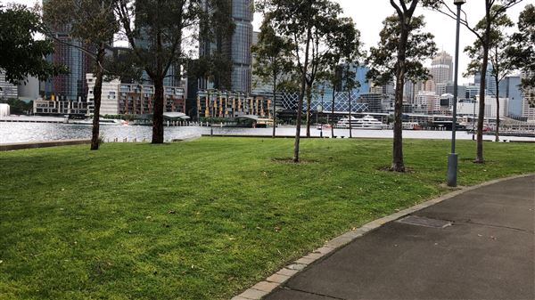 Ballaarat Park - Pyrmont (26/10/2018 - Credits: Shannon Wheeler)
