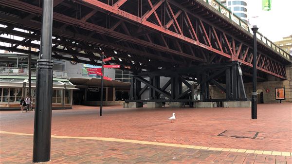 Darling Harbour (26/10/2018 - Credits: Shannon Wheeler)