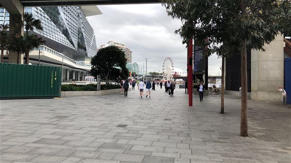 Darling Harbour (26/10/2018 - Credits: Shannon Wheeler)