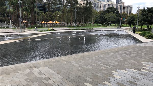 Darling Harbour (26/10/2018 - Credits: Shannon Wheeler)